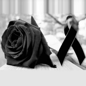 Meet your Posher, Rosaura